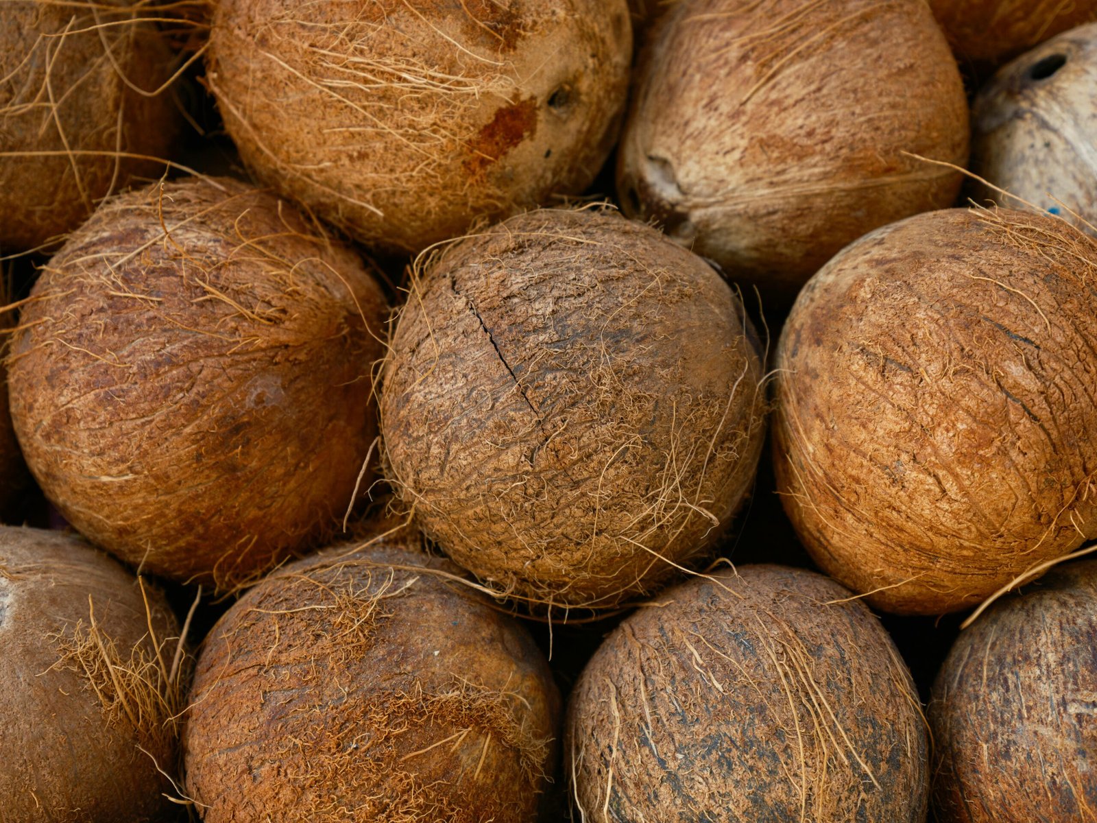 Close-up view of fresh brown coconuts stacked at a market, showcasing natural textures.